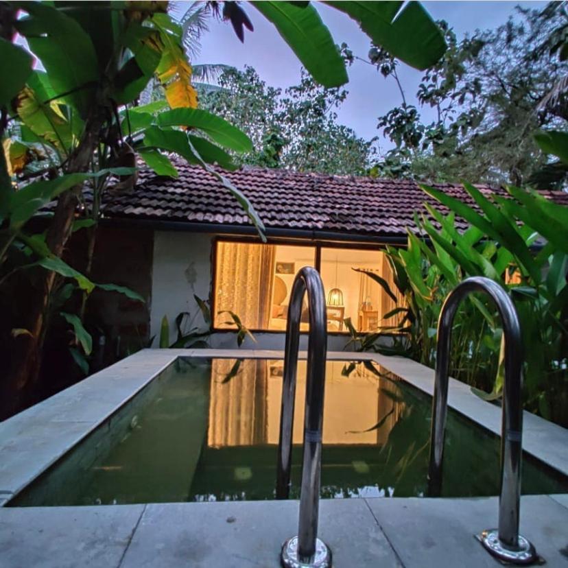 Bed and Breakfast Sunsets And Palm Trees Alappuzha Экстерьер фото